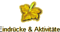 Eindr�cke & Aktivit�ten
