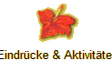Eindr�cke & Aktivit�ten